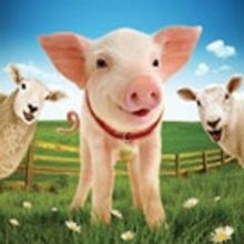 Polka Theatre to Present BABE, THE SHEEP-PIG Before Launching National Tour!