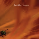 Instrumental Band Burnt Belief to Release Third Installment of Trilogy: EMERGENT
