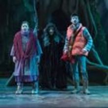 BWW Reviews: Sondheim's INTO THE WOODS A Magical Force at Milwaukee's Skylight
