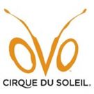 Cirque du Soleil brings OVO to Royal Albert Hall