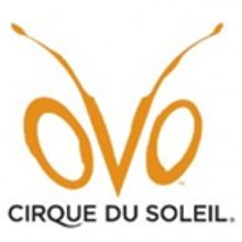 Cirque du Soleil brings OVO to Royal Albert Hall