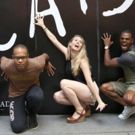 Highlights from BWW's Debut of the Month Special CATS Series