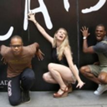 Highlights from BWW's Debut of the Month Special CATS Series