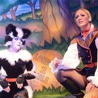 BWW Review: DICK WHITTINGTON, Belgrade Theatre Coventry, 1 December 2016 Photo