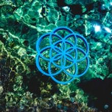 Sonus Festival Marks 5th Birthday with an Unforgettable Lineup