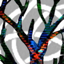 The BiTSY Stage presents THE LASS WHO WENT OUT WITH THE CRY OF DAWN: A CELTIC YARN