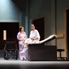 BWW Review: North Carolina Theatre's WIT