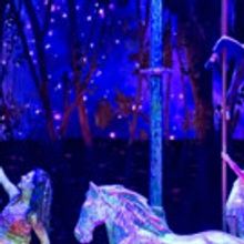 Twelve-Story Big Top Raised Today in San Jose for Odysseo