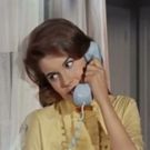 It's Time to Telephone Your Best Friend and Celebrate BYE BYE BIRDIE!