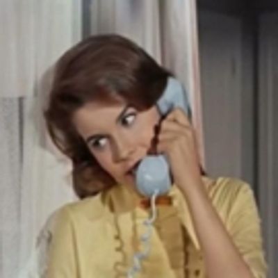 It's Time to Telephone Your Best Friend and Celebrate BYE BYE BIRDIE!