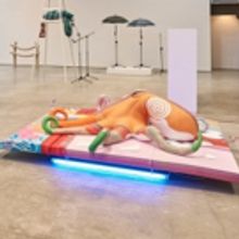 Cosima von Bonin Exhibition Opens at Oakville Galleries