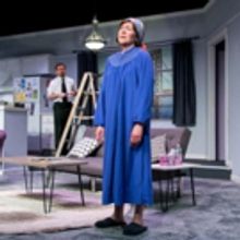 Photo Flash: First Look at TheatreWorks New Milford's TALE OF THE ALLERGIST'S WIFE