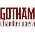 Gotham Chamber Opera Names New Executive Director