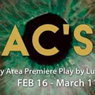 Custom Made Theatre Co. Stages Bay Area Premiere of Lucas Hnath's ISAAC'S EYE