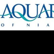 The Aquarium of Niagara Celebrates our Veterans