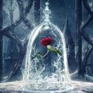 PHOTO: Disney Shares 9 Enchanting Photos from BEAUTY AND THE BEAST!