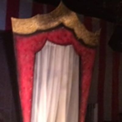 BWW Blog: Allison Rambler - Come Look At the Freaks: Who They Are