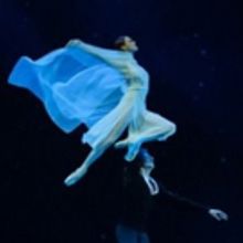BWW Review: MARIINSKY BALLET Pays a Tribute to Maya Plisetskaya at BAM