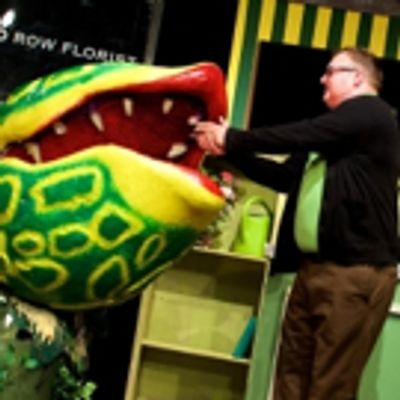 BWW Review: The City Theatre Closes Season By Opening a LITTLE SHOP OF HORRORS