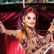 Cirque du Soleil Extends KOOZA's Run in Sydney