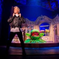 BWW Review: LITTLE SHOP OF HORRORS, 27 September 2016 Photo