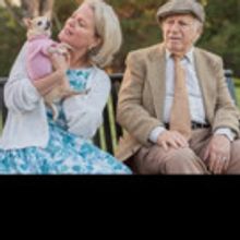 Photo Flash: Meet the Stars of Cherry Creek Theatre Company's THE LAST ROMANCE