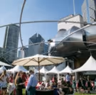 Culinary Complete Works Headlines Exclusive Grand Cru Event