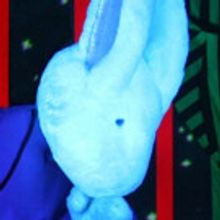 Mermaid Theatre of Nova Scotia presents GOODNIGHT MOON and THE RUNAWAY BUNNY