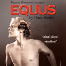 Peter Shaffer's EQUUS to Make Theatre Rhinoceros Debut This Fall