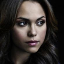 CHICAGO FIRE's Monica Raymund Boards Lookingglass' 2015-16 Season; Remaining Casts Se