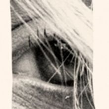 The Marlowe Studio Sets June Lineup