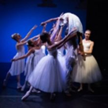 BWW Review: BROOKLYN BALLET Celebrates The Holidays Like No Other In The Brooklyn Nut