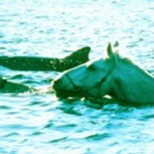 Adelaide's Port River To Star In New Feature Film