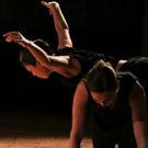 Valerie Green/Dance Entropy Presents IMPERMANENT LANDSCAPE, 6/1