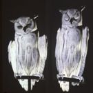 The Or Gallery Presents UNCERTAIN REFLECTIONS 2/4-3/11