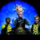 From the BroadwayWorld Vaults: Faith Prince Reveals the Stage Magic of THE LITTLE…