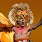 THE LION KING Will Launch Digital Lottery Starting Next Week!