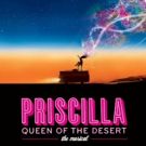 Transgender Actress Stars as 'Bernadette' in PRISCILLA: QUEEN OF THE DESERT…