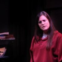 STAGE TUBE: Burbage Theatre Releases Trailer for THE FLU SEASON — Opening TONIGHT! Video