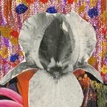 Theatre of War Presents THE EMPEROR'S NEW CLOTHES [FOR THE TRUMP ERA]