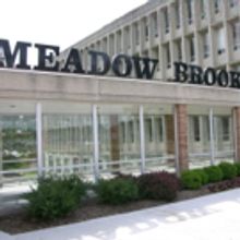 Meadow Brook Theatre to Partner with Berkley Schools