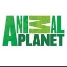 Animal Planet Premieres New Season of ICE LAKE REBELS Tonight