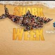 Don't Go Into the Water! SHARK WEEK Returns to Discovery Channel Today