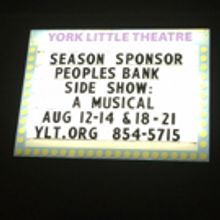 BWW Blog: Allison Rambler - Come Look at the Freaks: A Side Show Community Production