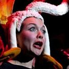 BWW Interview: FORBIDDEN BROADWAY's John Freedson Discusses the Satirical Show…