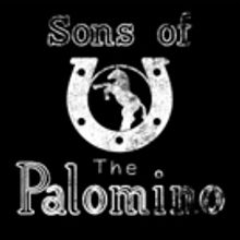 Sons of the Palomino Release Brand New Single 'Countryholic'