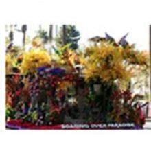 Fiesta Parade Floats Wins 8 Top Rose Parade Trophies