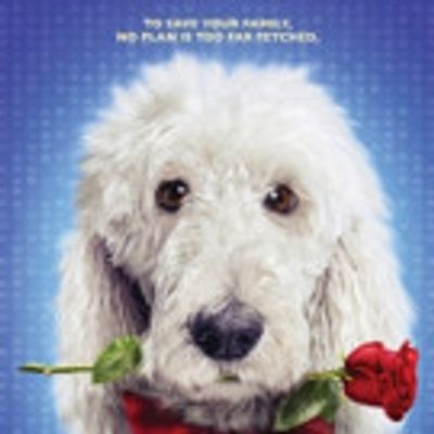 Family Comedy IN THE DOGHOUSE Coming to DVD and VOD 4/18