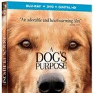A DOG'S PURPOSE Coming to Digital, Blu-ray, DVD & On Demand This Spring
