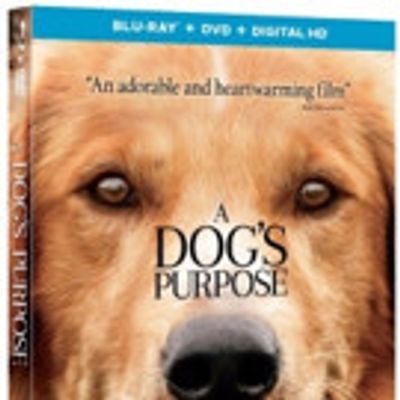A DOG'S PURPOSE Coming to Digital, Blu-ray, DVD & On Demand This Spring